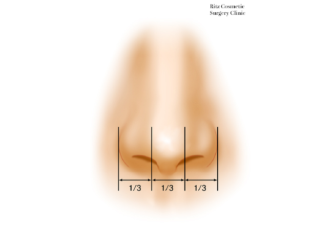 鼻尖（鼻先）は適度に細いイメージ
